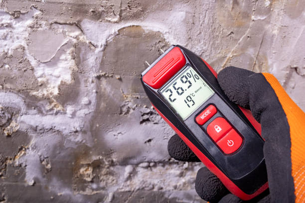 Best Crawl Space Mold Remediation in Vidor, TX
